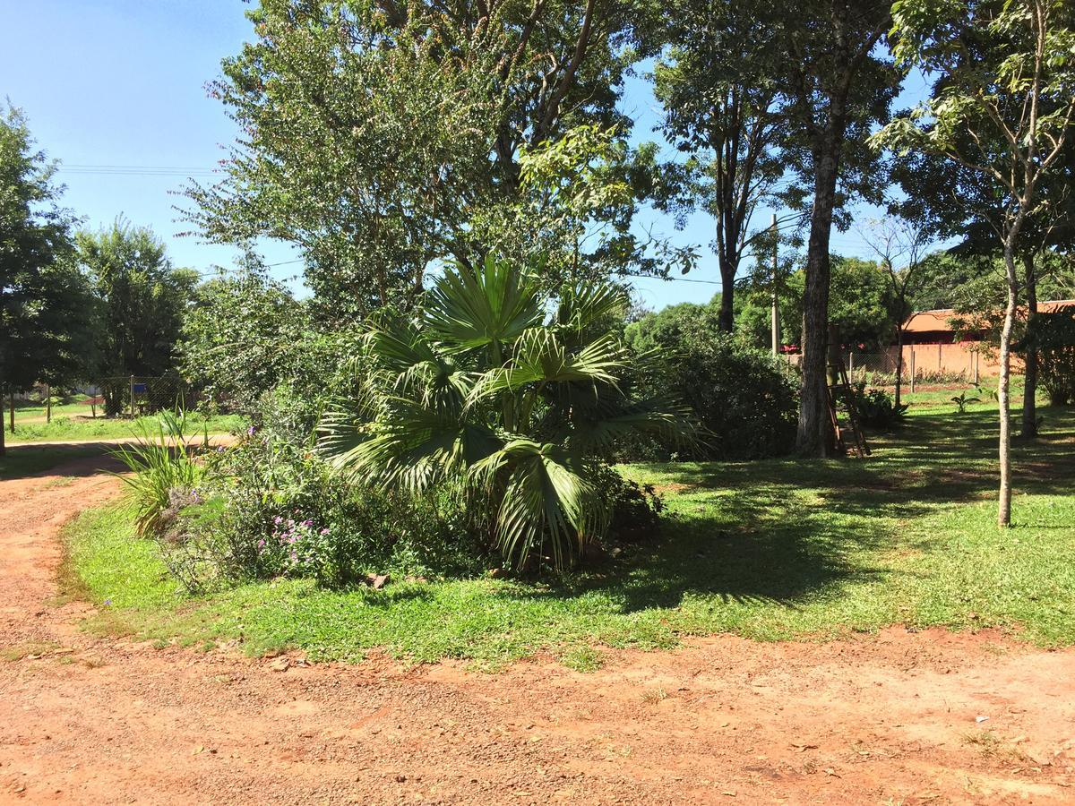 Iguazu Apart Hostel Puerto Iguazú Esterno foto